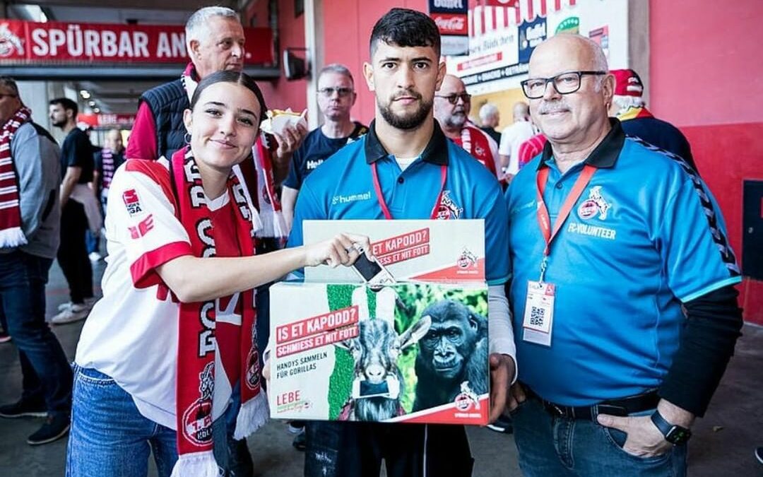 Die GWK unterstützen die Aktion „Handys für Gorillas“